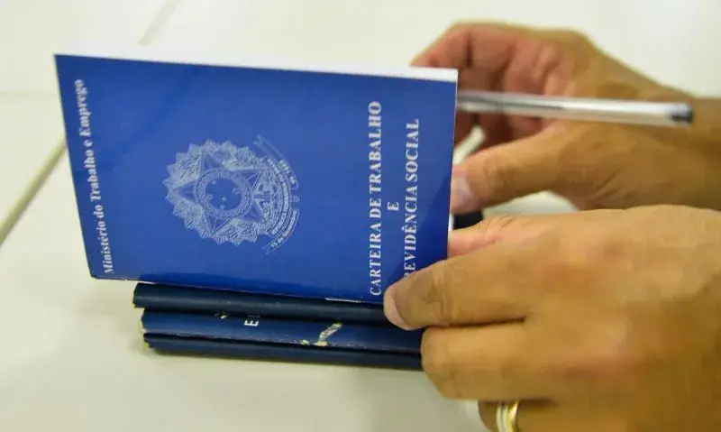 Carteira de trabalho (Foto: Reprodução)