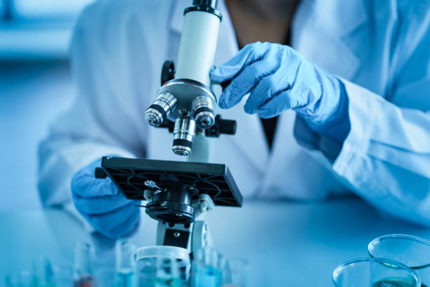 Ciência do Nordeste ganha protagonismo na bioeconomia (Foto: Reprodução / iStock)