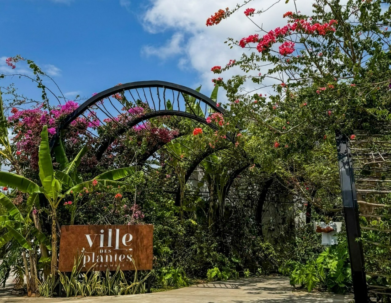Ville des Plantes (Foto: Divulgação)