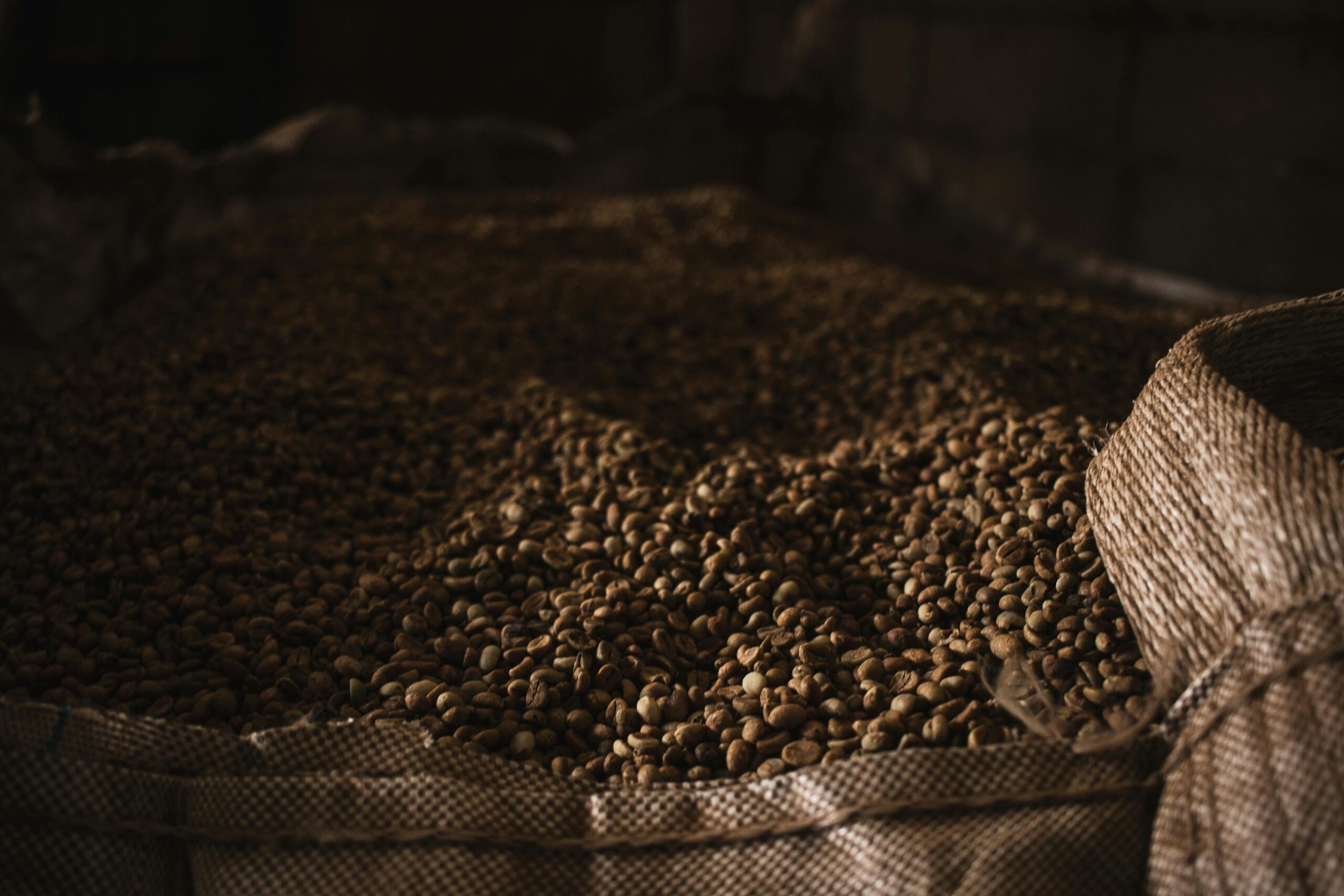 Safra recorde de café no Brasil (Foto: Maurício Mascaro / Pexels)